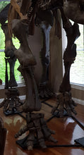 Load image into Gallery viewer, American Mastodon - SOLD