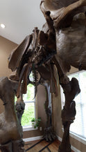 Load image into Gallery viewer, American Mastodon - SOLD