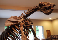 Load image into Gallery viewer, Giant Ground Sloth - SOLD