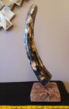 Load image into Gallery viewer, Fossil Woolly Mammoth Tusk