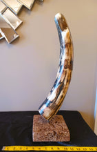 Load image into Gallery viewer, Fossil Woolly Mammoth Tusk