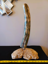 Load image into Gallery viewer, Alaskan Mammoth Tusk