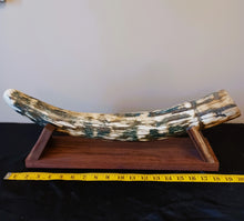 Load image into Gallery viewer, Alaskan Mammoth Tusk