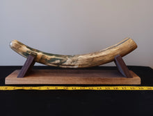 Load image into Gallery viewer, Alaskan Mammoth Tusk