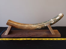 Load image into Gallery viewer, Alaskan Mammoth Tusk