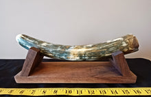 Load image into Gallery viewer, Alaskan Mammoth Tusk