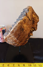 Load image into Gallery viewer, Mammoth Tooth