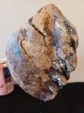 Load image into Gallery viewer, Mammoth Tooth
