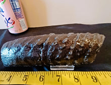 Load image into Gallery viewer, Mammoth Tooth Slice
