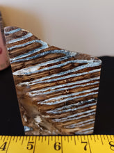 Load image into Gallery viewer, Mammoth Tooth Slice