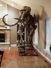 Load image into Gallery viewer, Alaskan Woolly Mammoth-SOLD