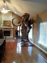 Load image into Gallery viewer, Alaskan Woolly Mammoth-SOLD