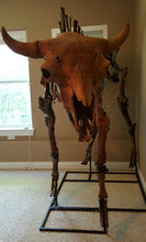 Load image into Gallery viewer, Ancient Bison Bison SOLD