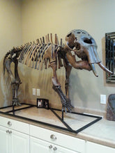 Load image into Gallery viewer, Baby Alaskan Woolly Mammoth-SOLD
