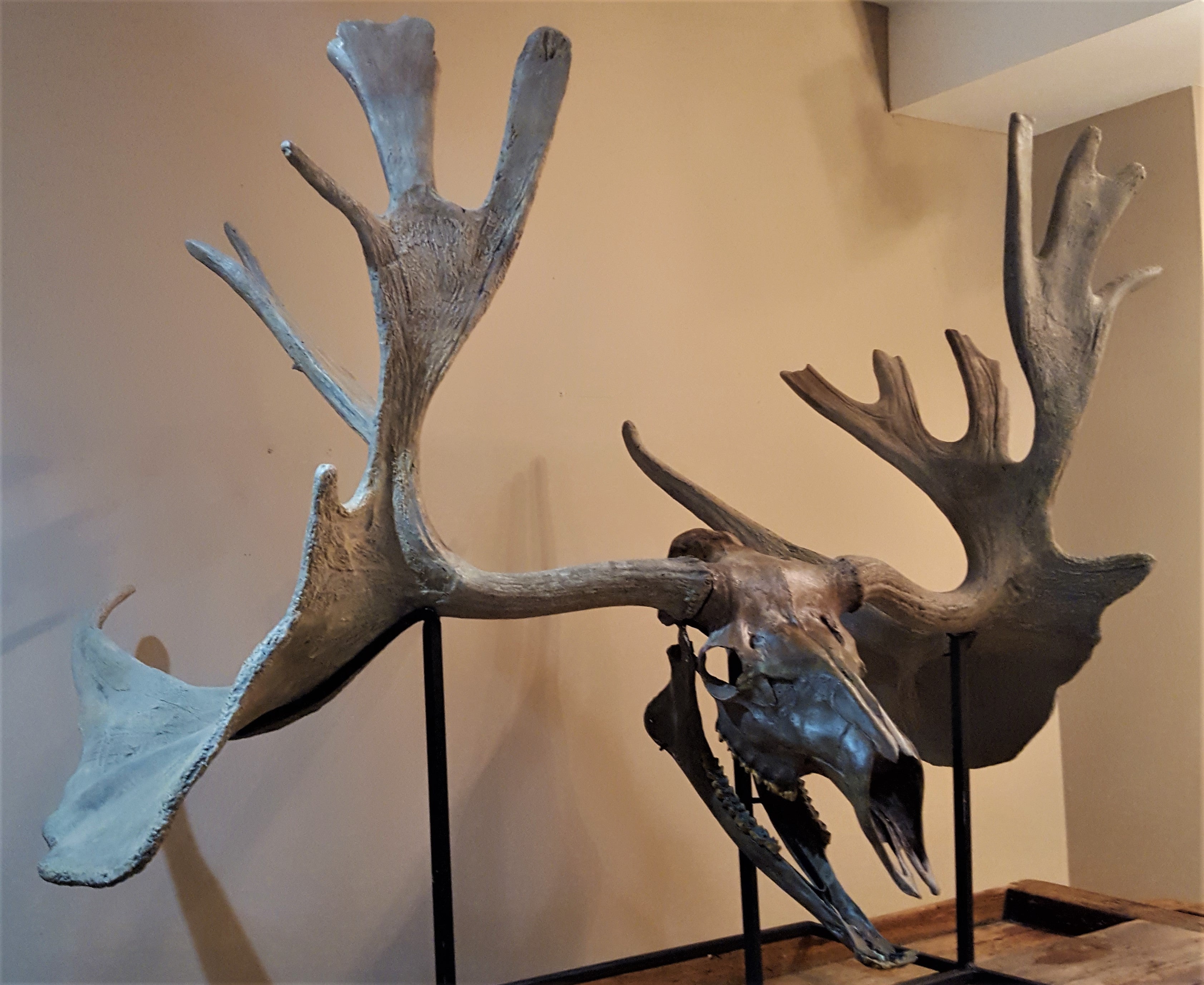 1992 (ANTLER DEER) FOSSIL BW-6723 (000266) 1995 (READ FOSSIL LIBRARY) LE AND LU SERIES main image 2